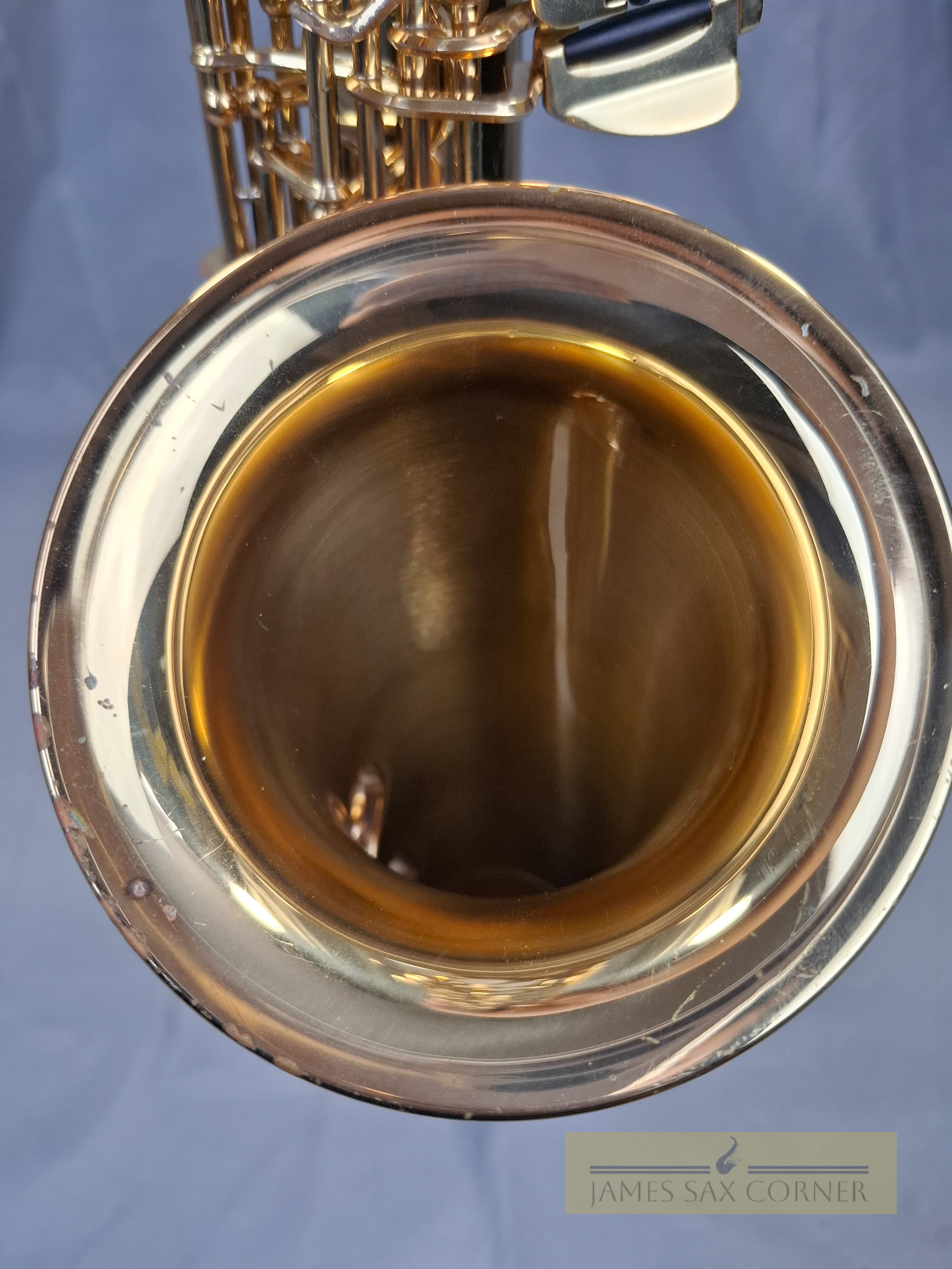 Yanagisawa A-WO10 Alto Saxophone SN 378XXX 10