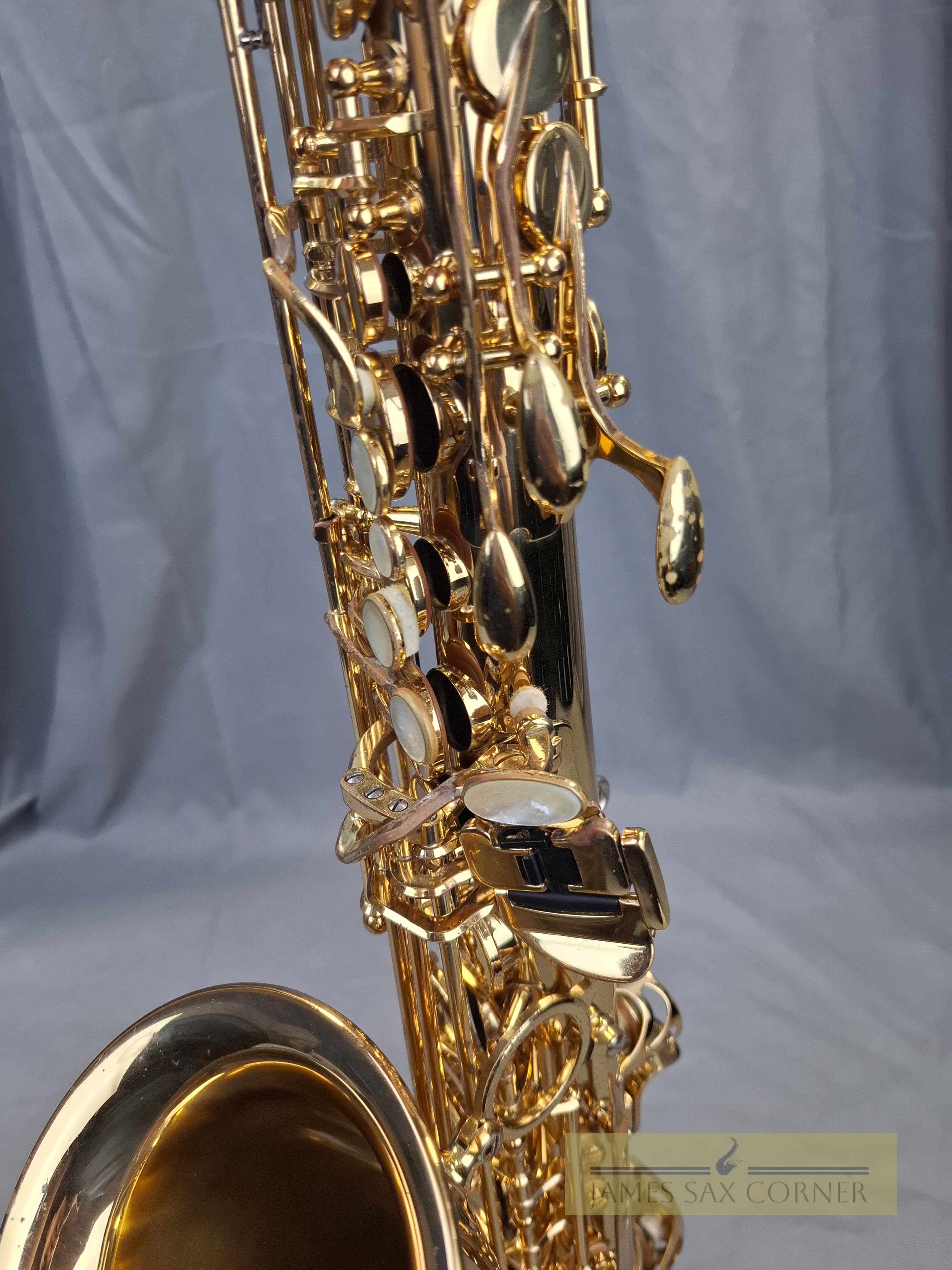 Yanagisawa A-WO10 Alto Saxophone SN 378XXX 11