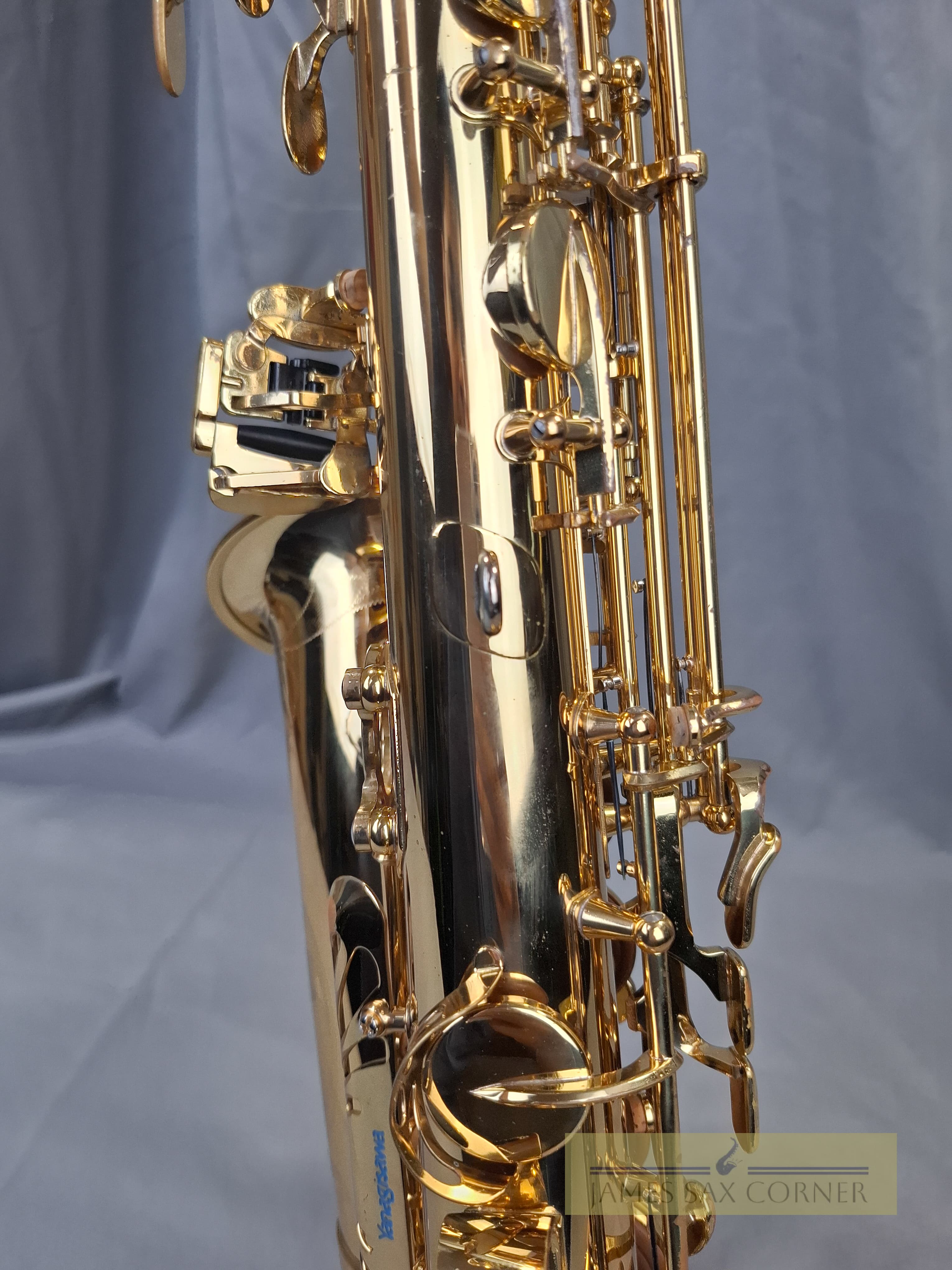 Yanagisawa A-WO10 Alto Saxophone SN 378XXX 14
