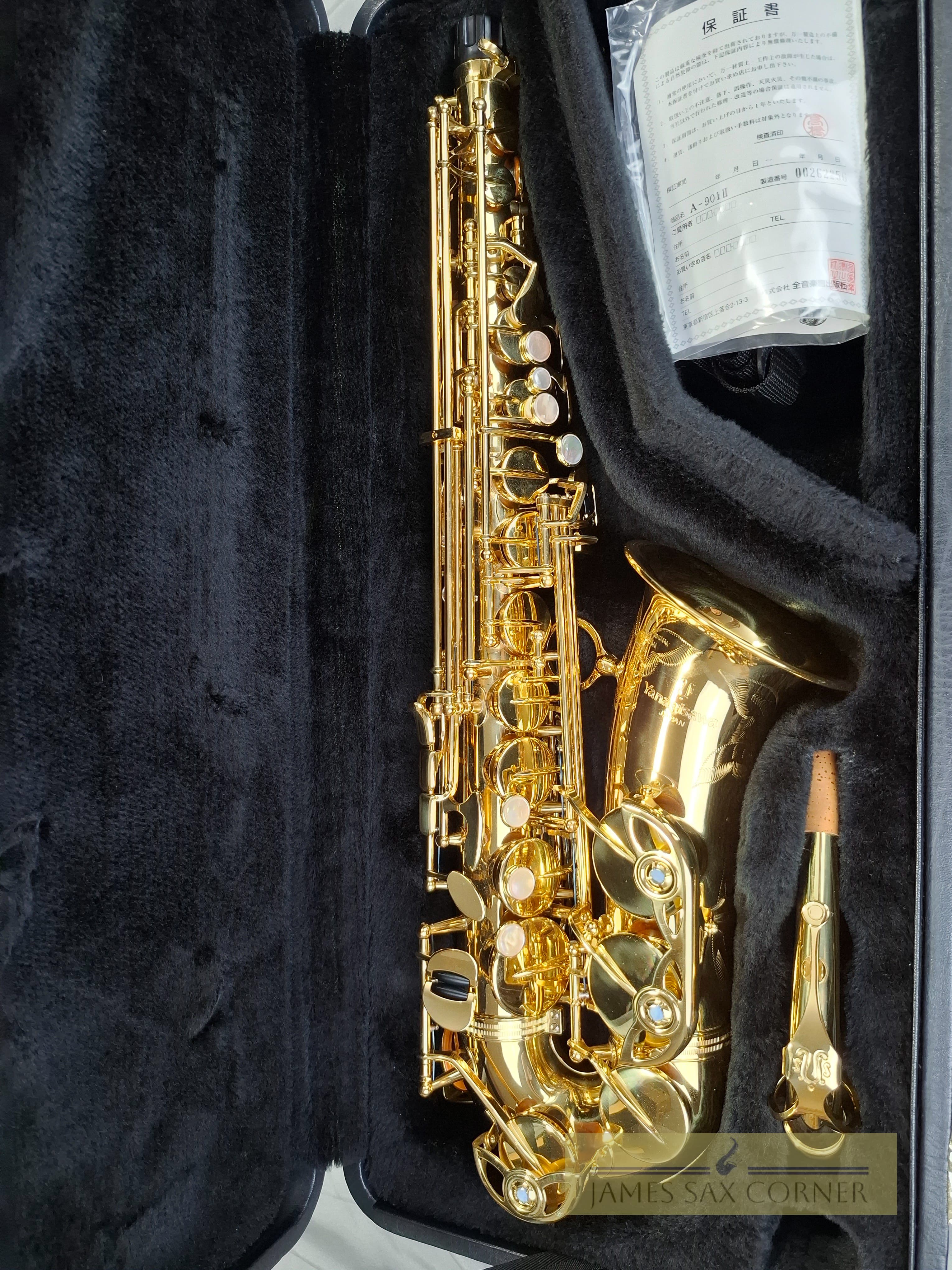Yanagisawa A-901 Alto Saxophone SN 286XXX 21