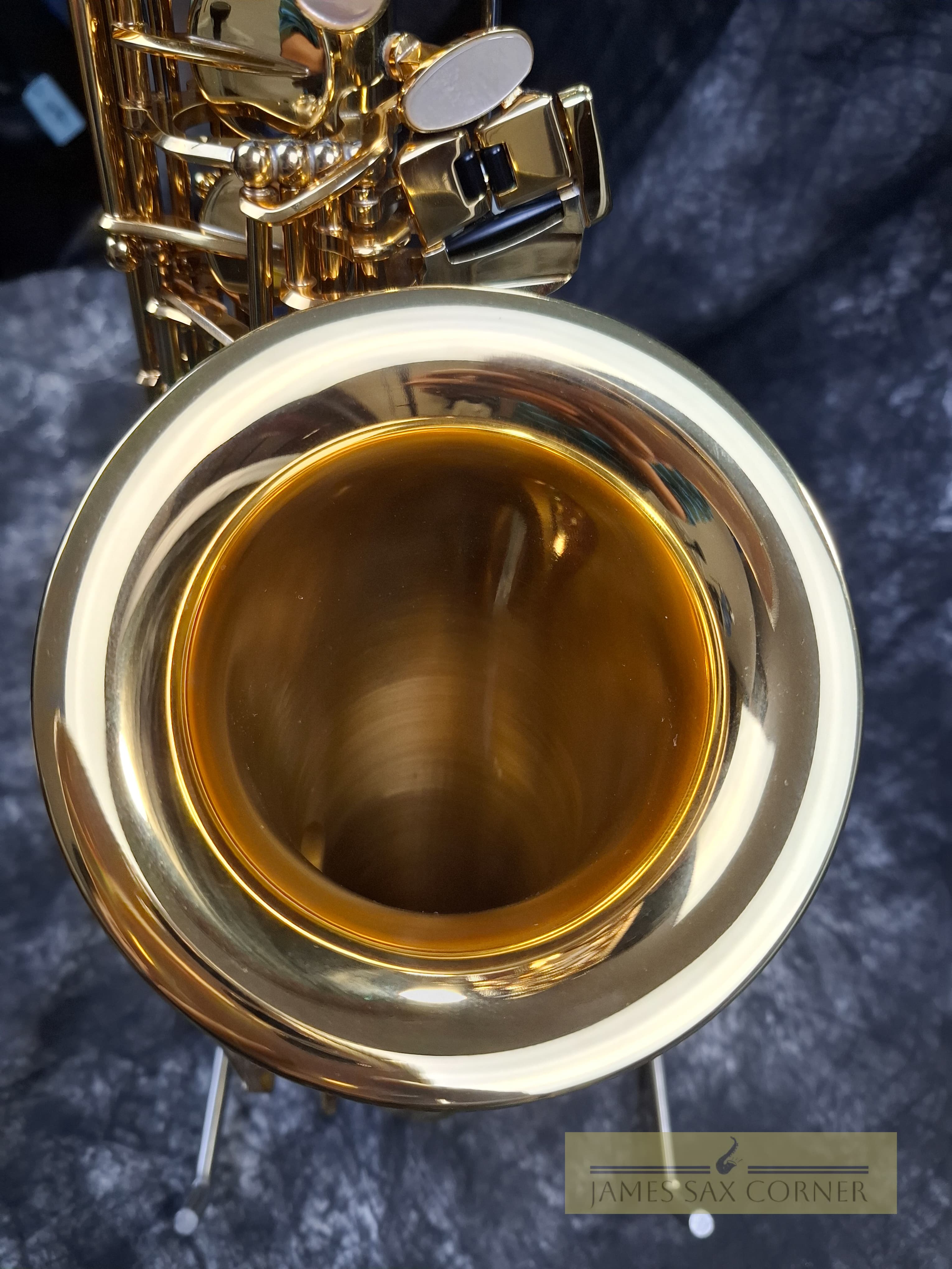 Selmer Reference 54 Hummingbird Charlie Parker Edition Alto Saxophone 3