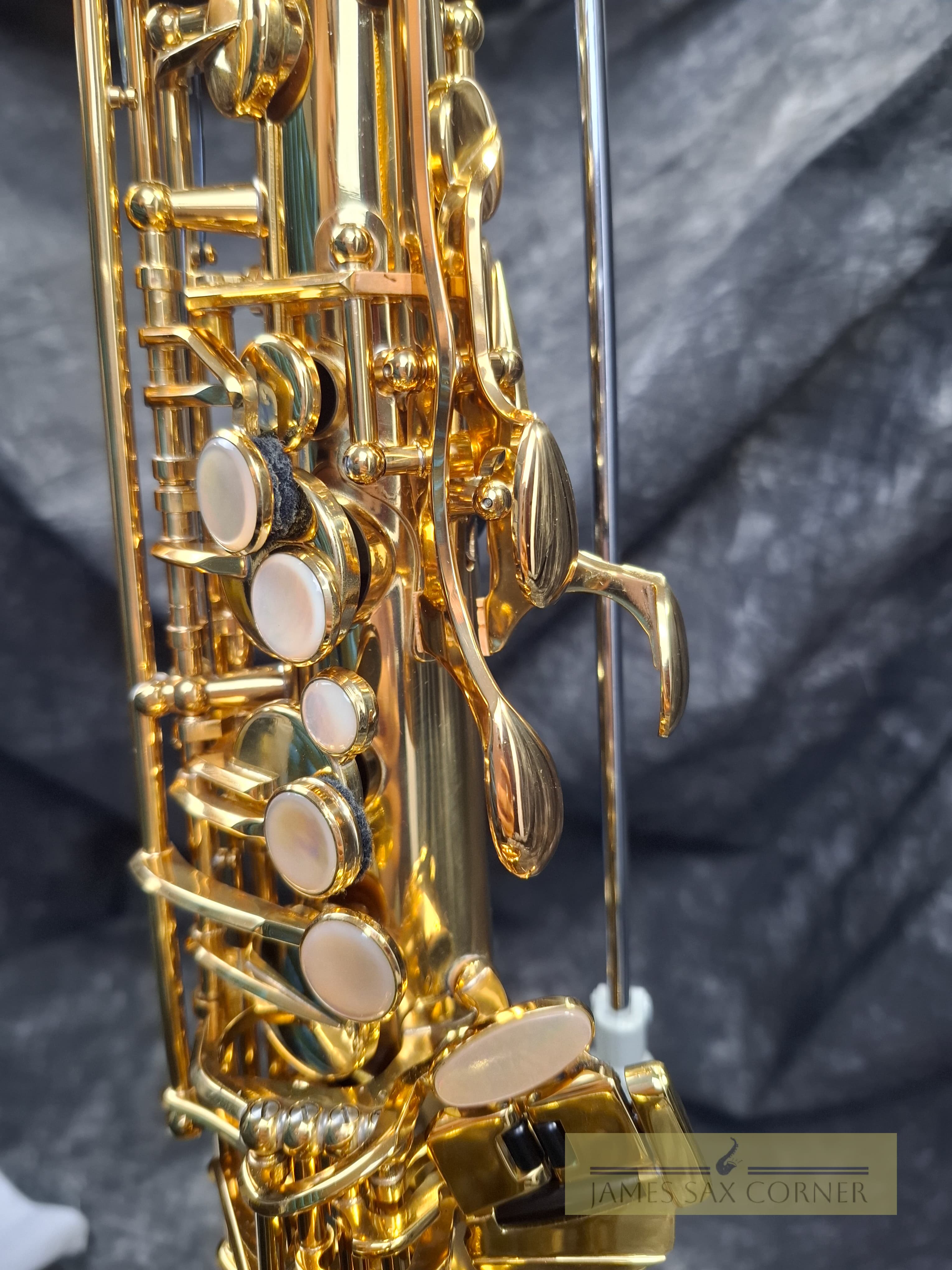 Selmer Reference 54 Hummingbird Charlie Parker Edition Alto Saxophone 4