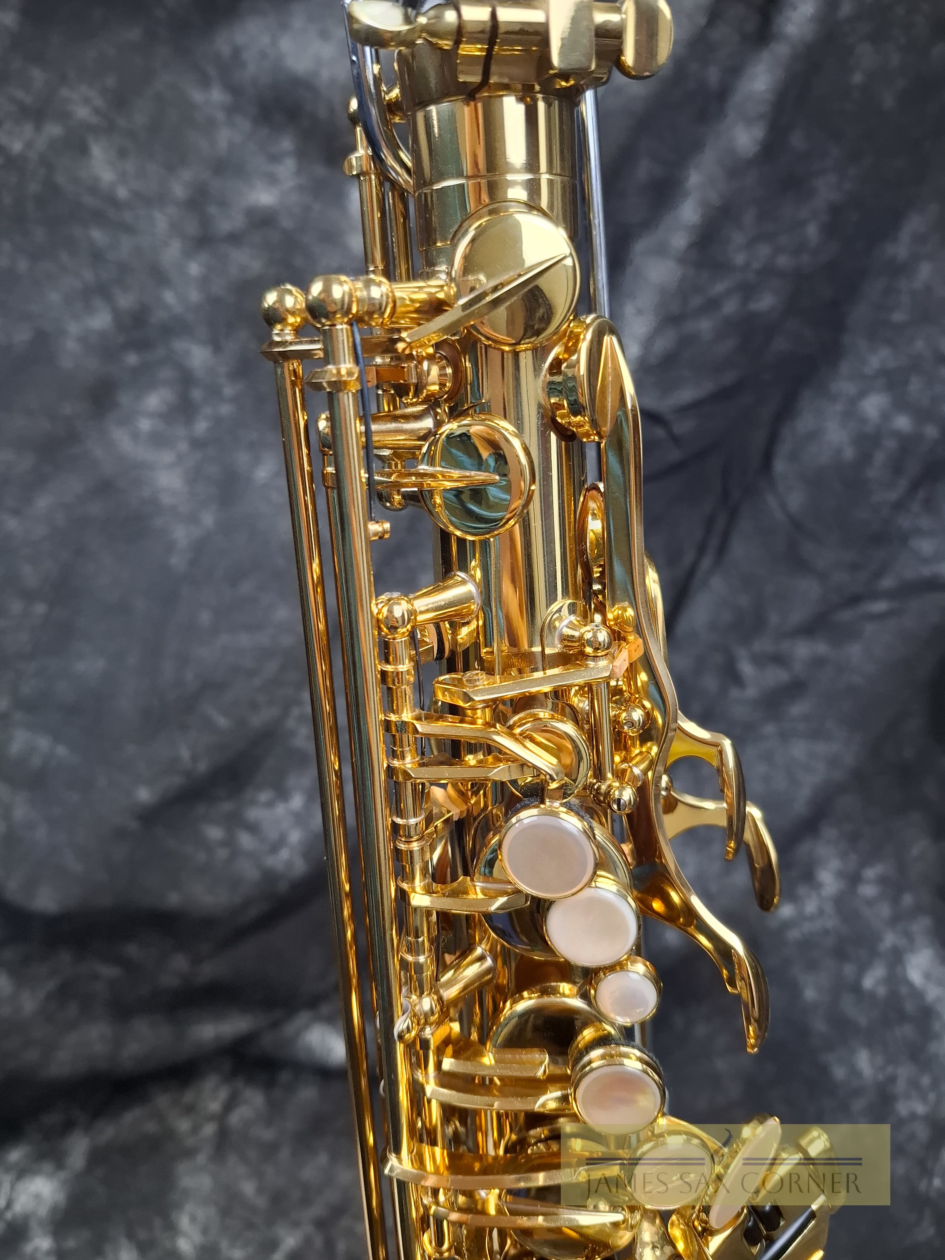 Selmer Reference 54 Hummingbird Charlie Parker Edition Alto Saxophone 5