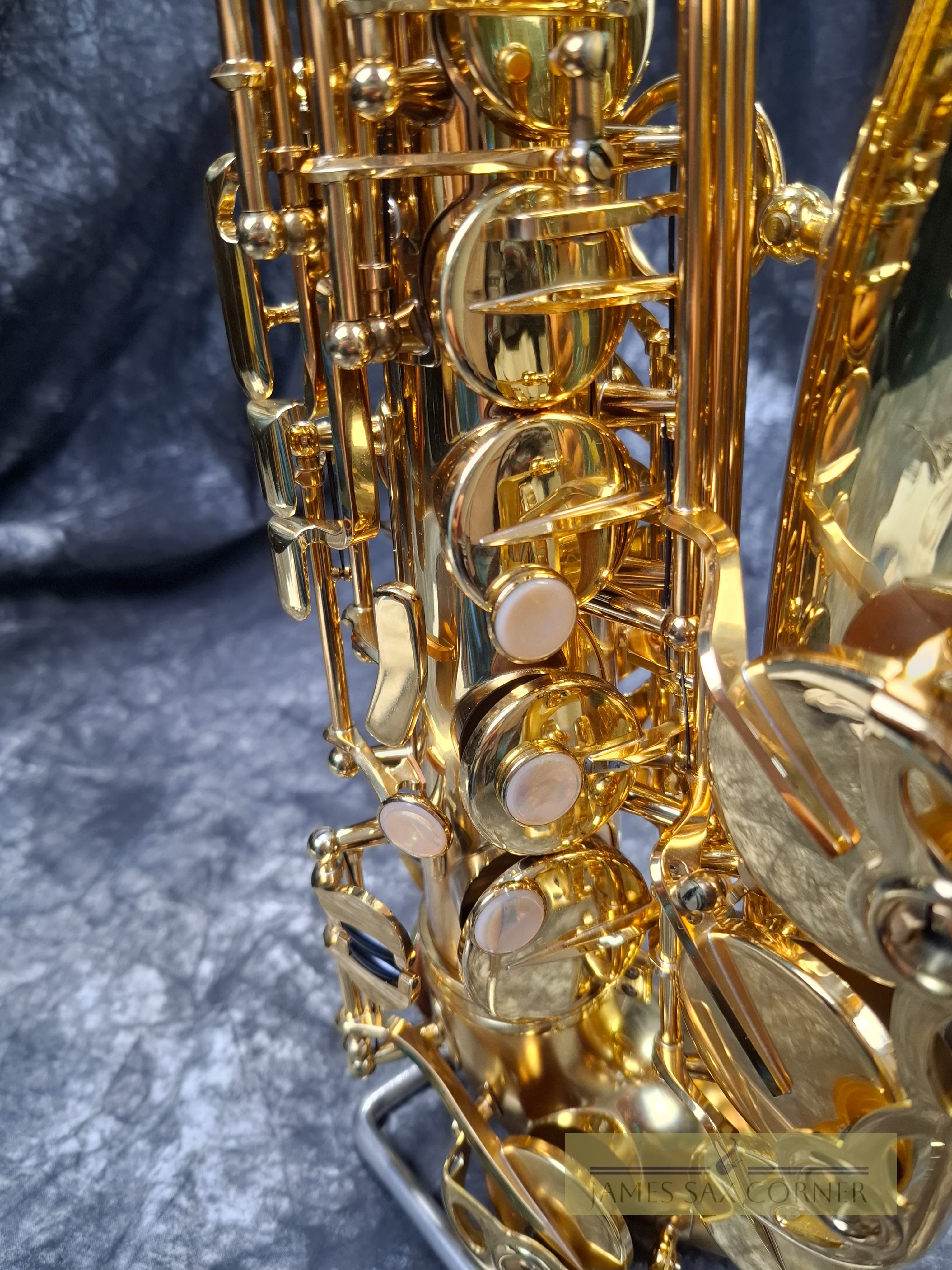 Selmer Reference 54 Hummingbird Charlie Parker Edition Alto Saxophone 6