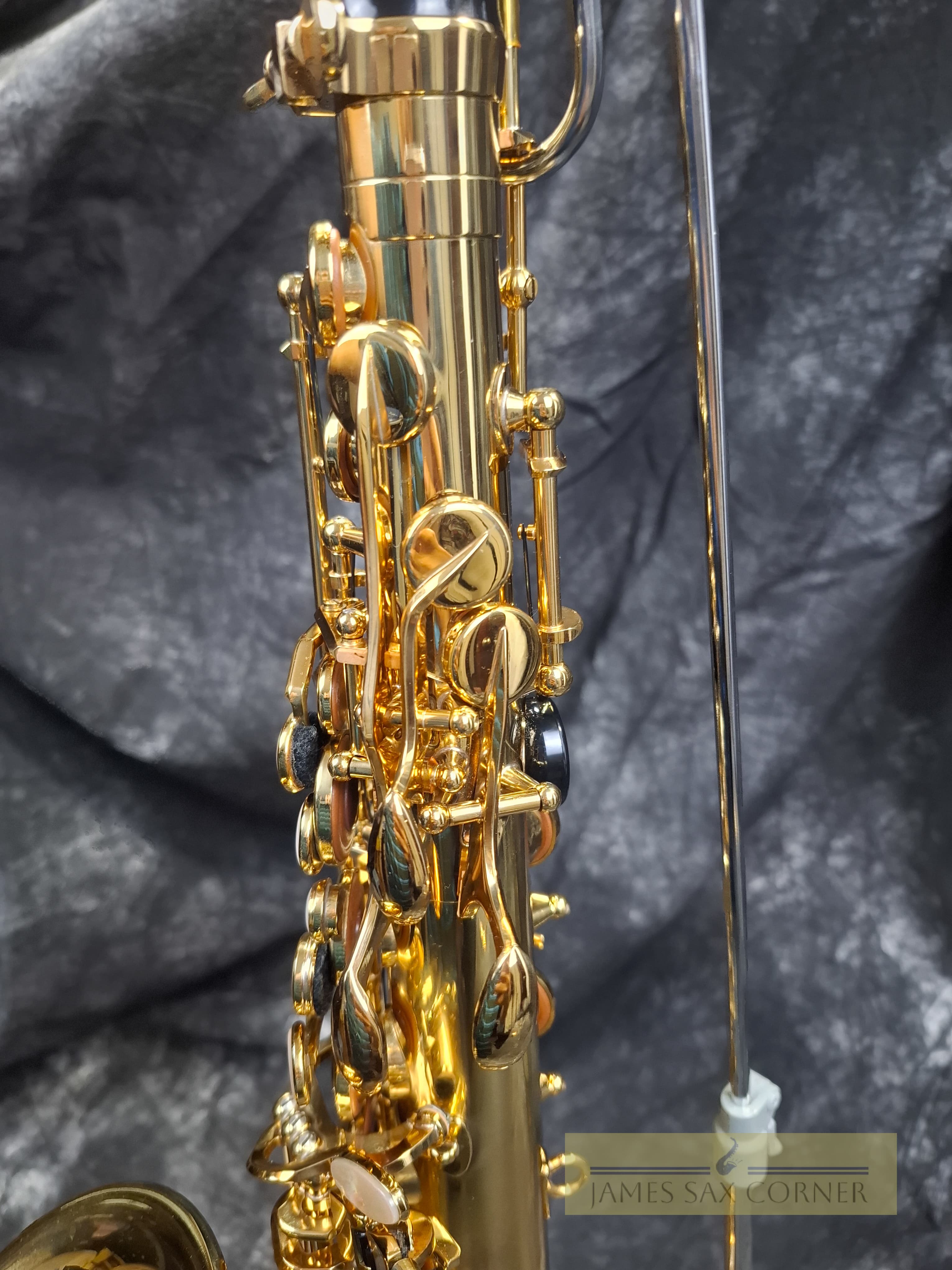 Selmer Reference 54 Hummingbird Charlie Parker Edition Alto Saxophone 7