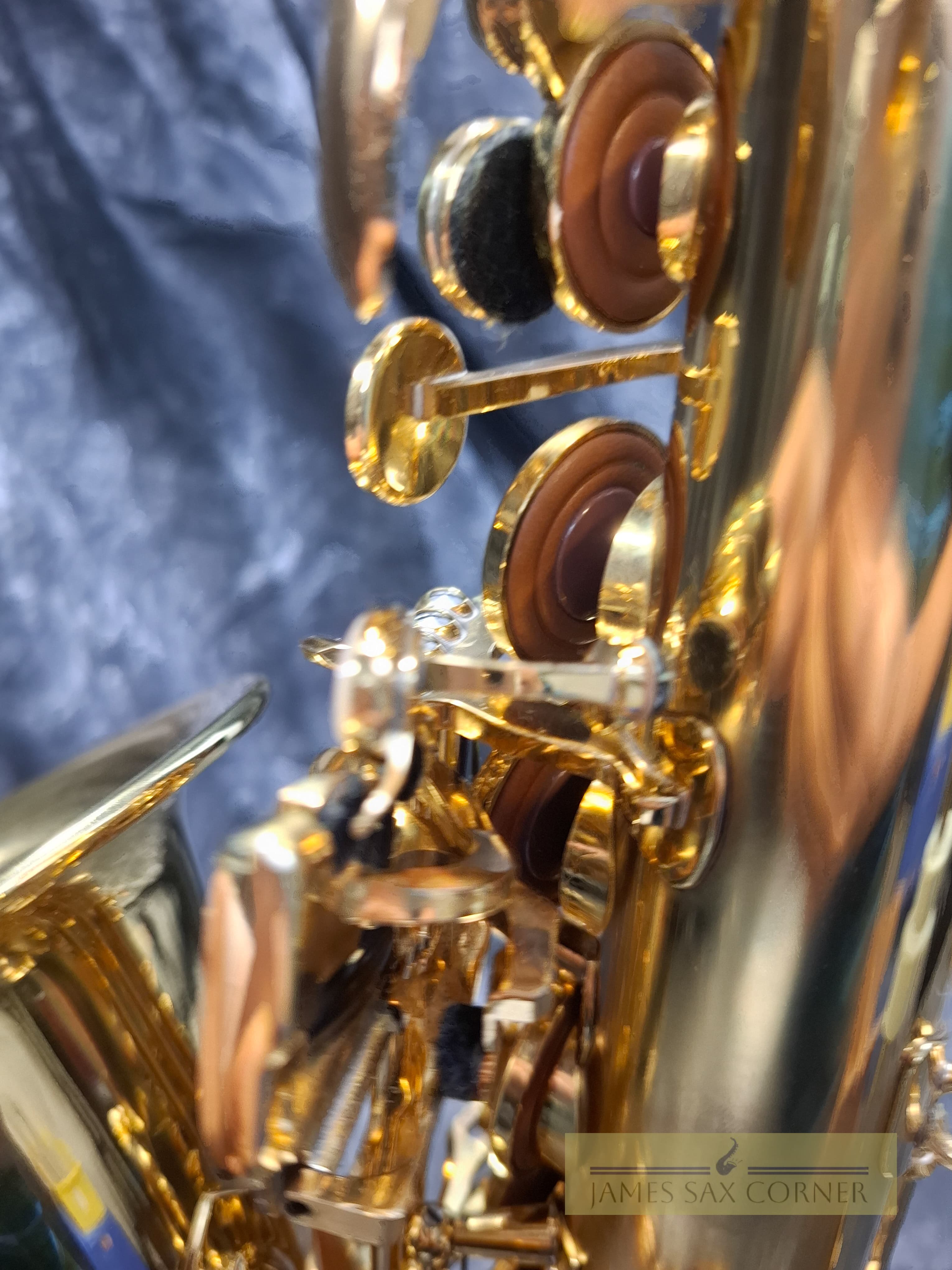 Selmer Reference 54 Hummingbird Charlie Parker Edition Alto Saxophone 12