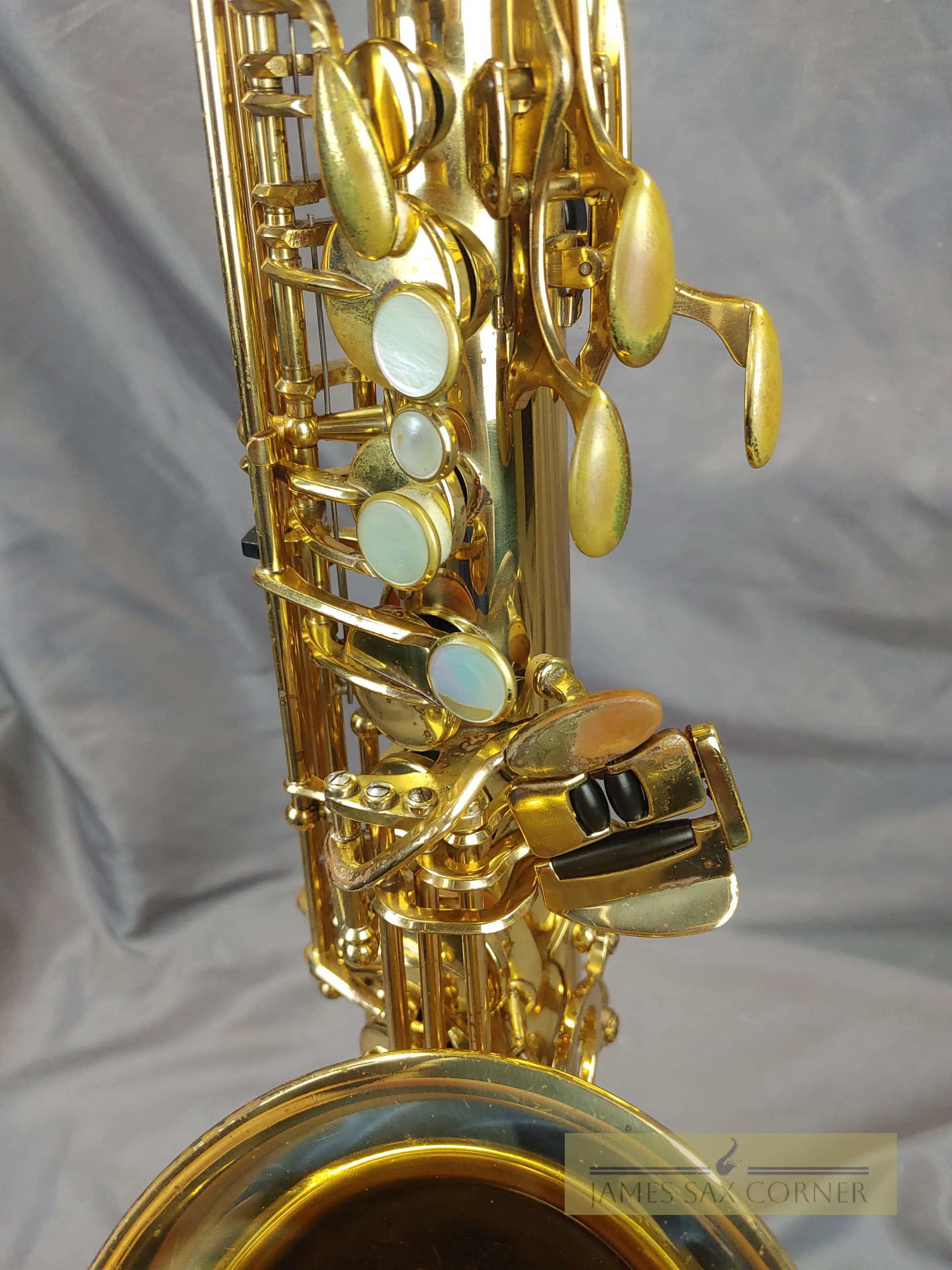 Yanagisawa A-900 Alto Saxophone SN 176XXX 15