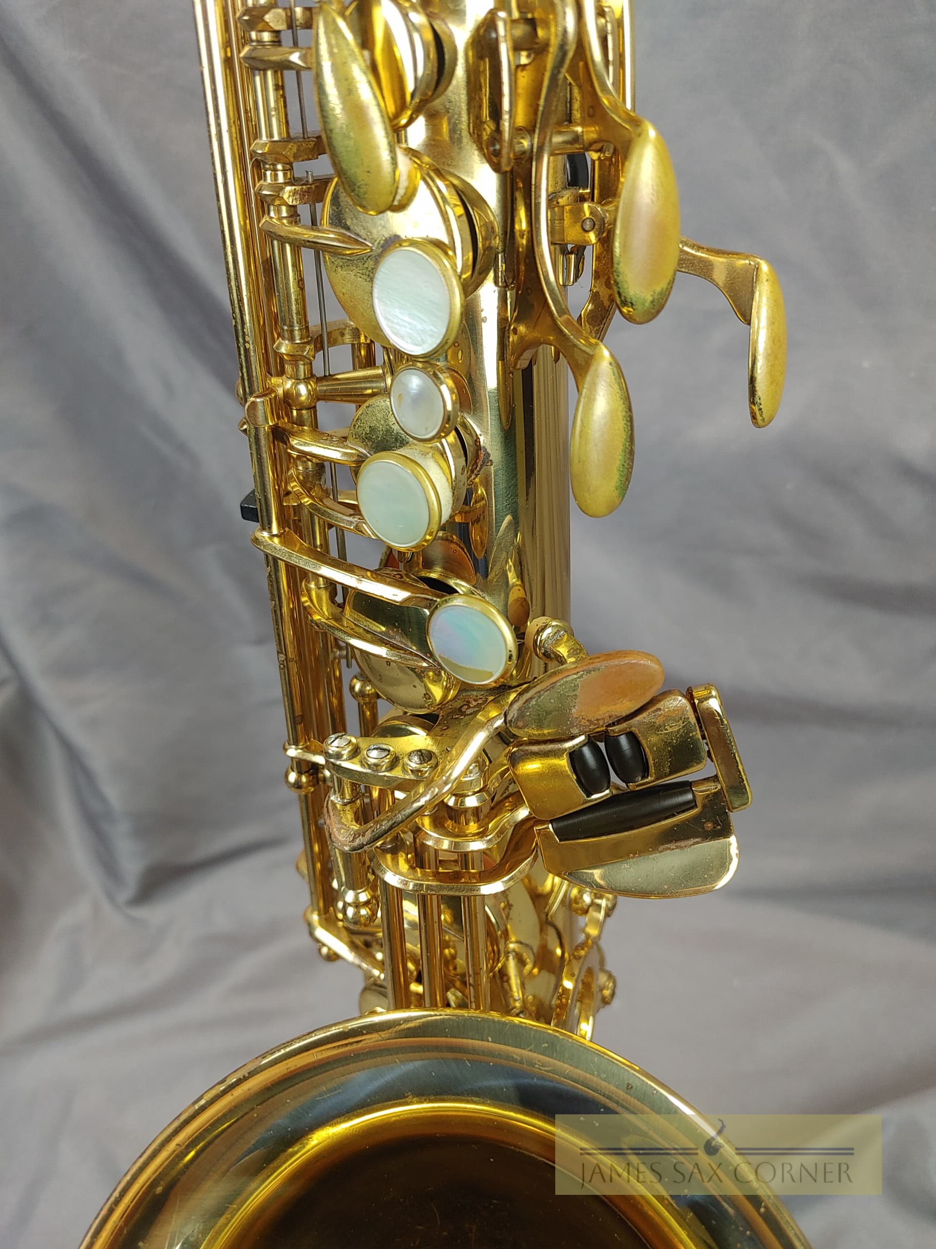 Yanagisawa A-900 Alto Saxophone SN 176XXX 16